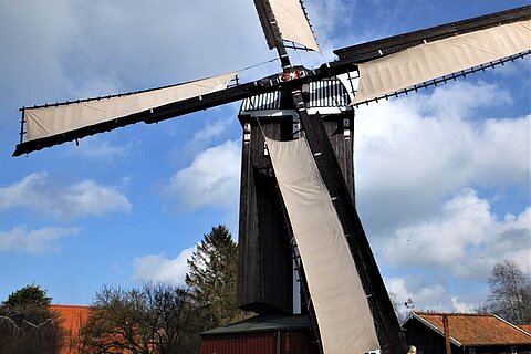 Bockwindmühle Dornum
